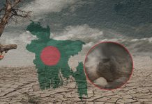 জলবায়ু পরিবর্তন ট্রাস্টি বোর্ডের সভা পরিবেশ বান্ধব সোনালি ব্যাগ উৎপাদনে প্রায় ১০ কোটি টাকা বরাদ্দ