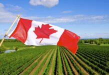 কৃষিশিল্পের মাধ্যমে কানাডায় অভিবাসন