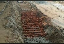 চাঁদপুরে বাঁশ দিয়ে নির্মাণ করা হচ্ছে ফেরিঘাট