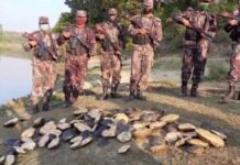 খাগড়াছড়িতে ১৪০ কচ্ছপ জব্দ, পরে অবমুক্ত