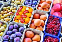 আমদানি ব্যয় কমাতে দুই শতাধিক পণ্যের ওপর শুল্ক আরোপ